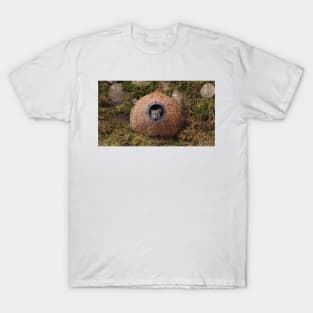 peek a boo mouse T-Shirt